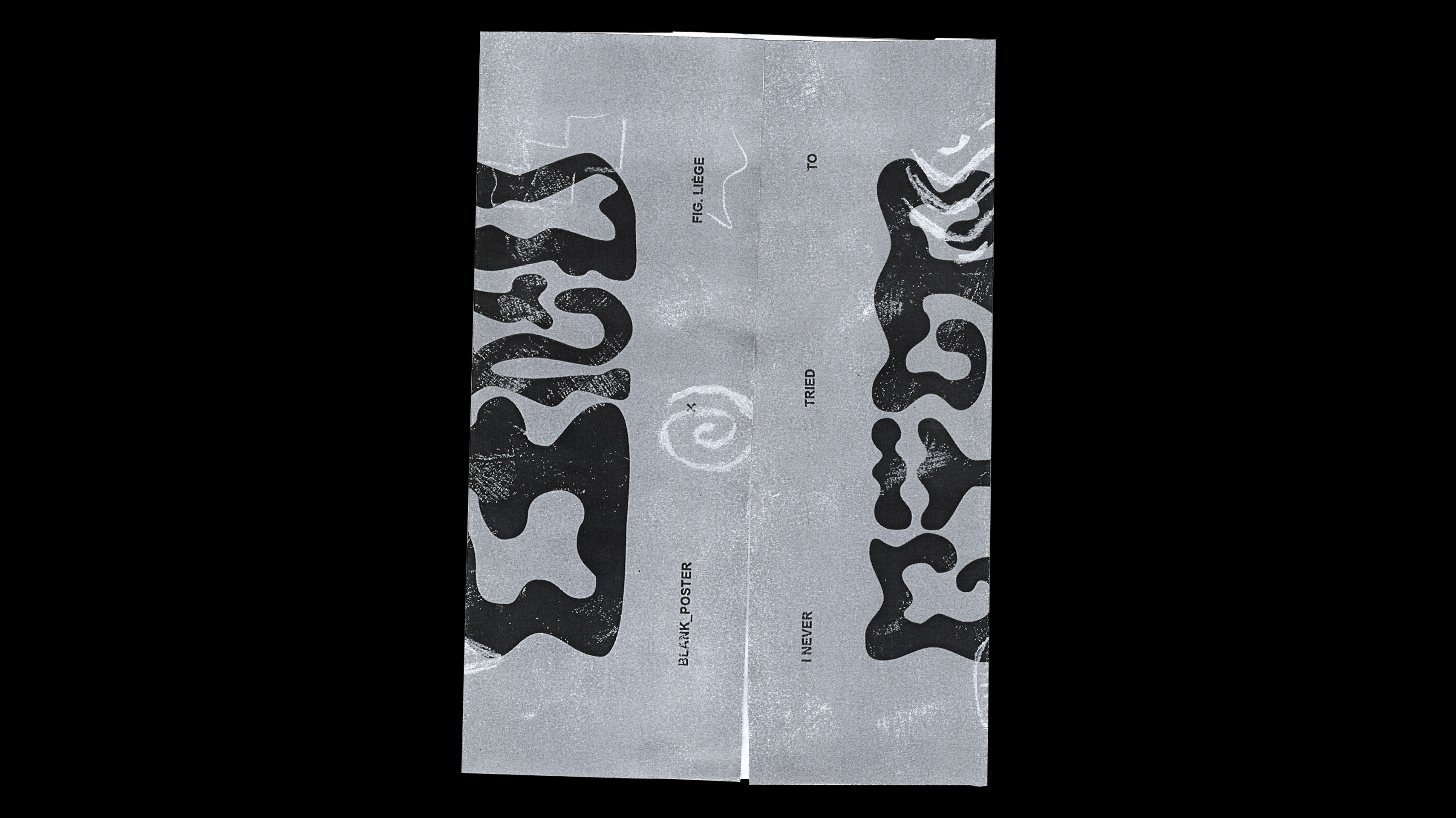 Fig. Liège x Blank Poster visual 6.