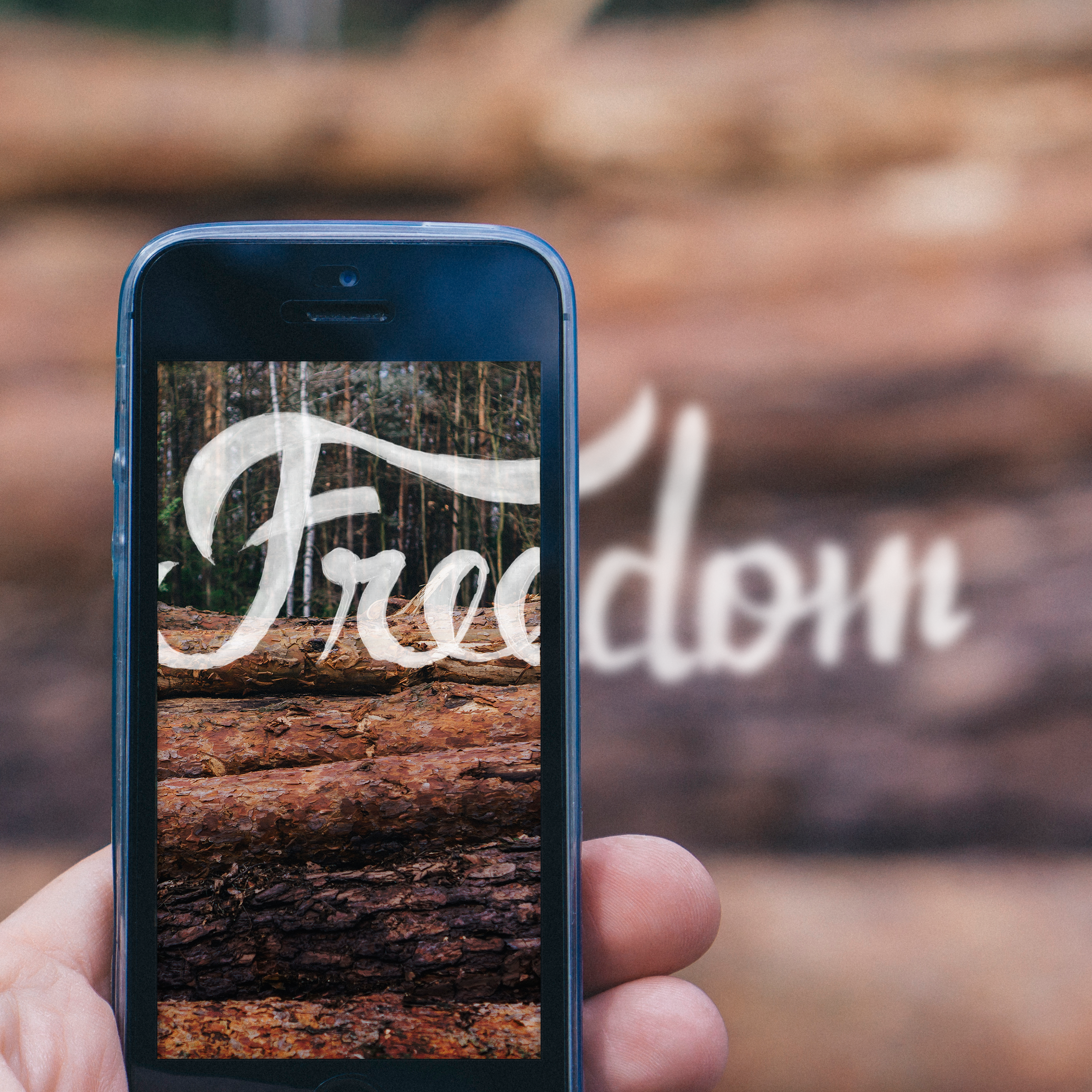 Freedom Lettering Studies visual 4.