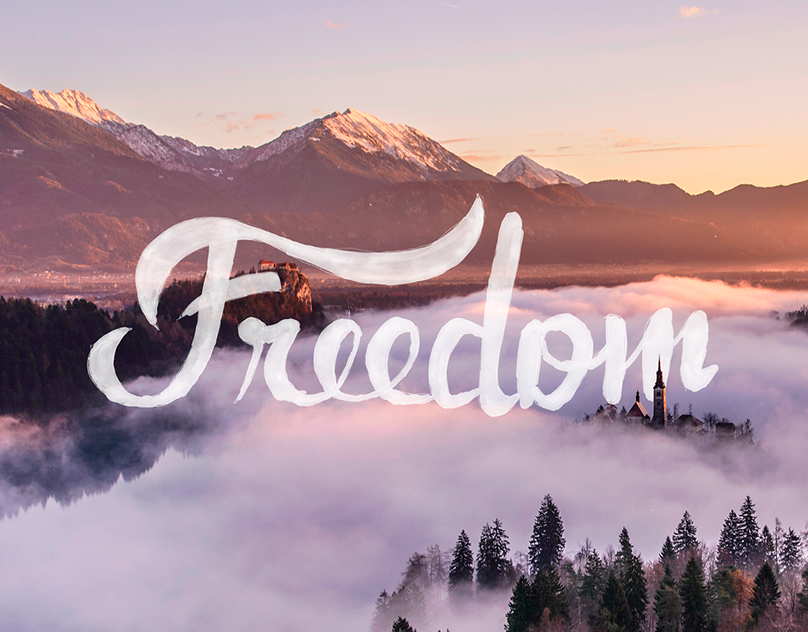 Cover image for Freedom Lettering Studies.