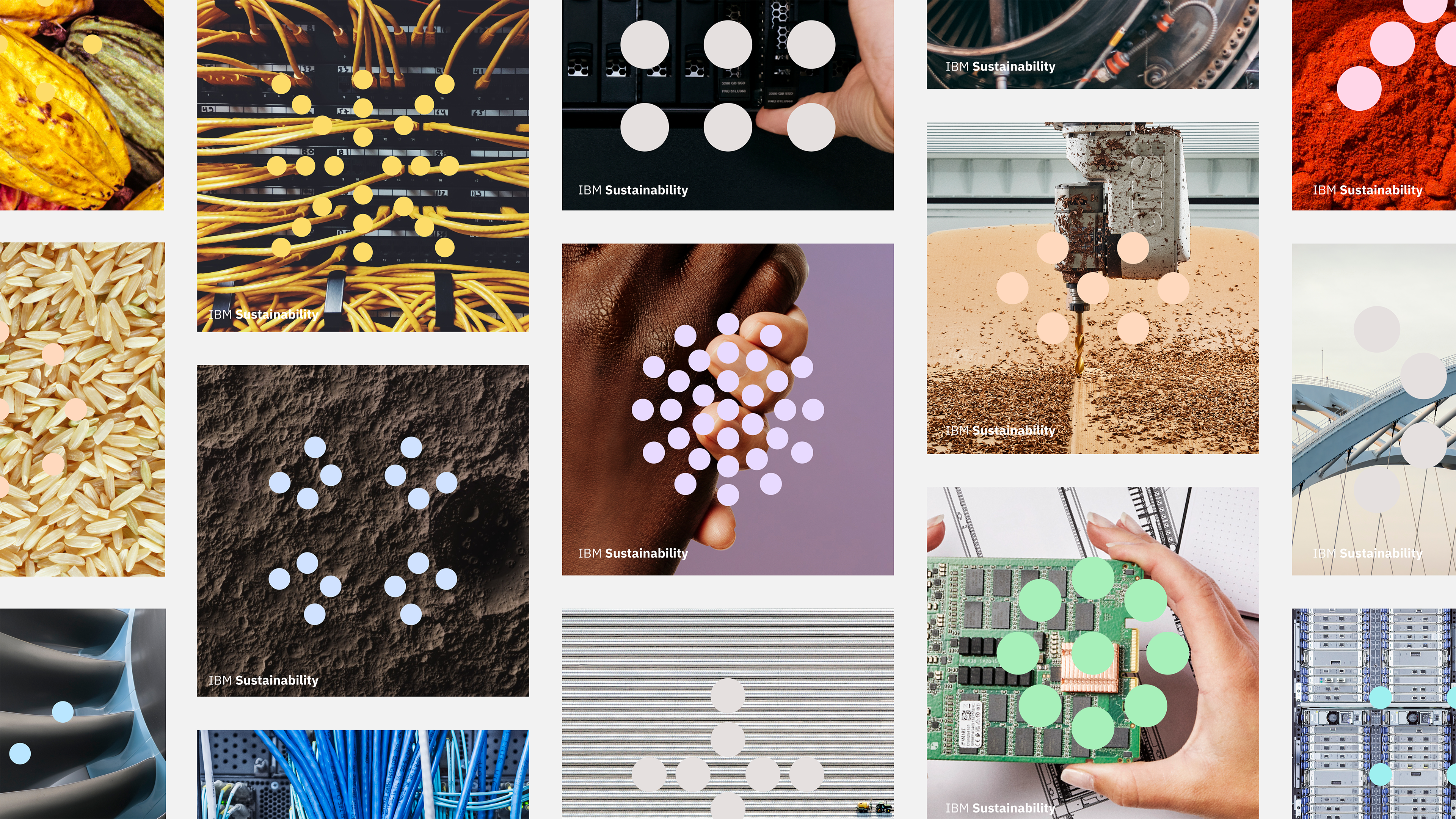 IBM Sustainability visual 6.
