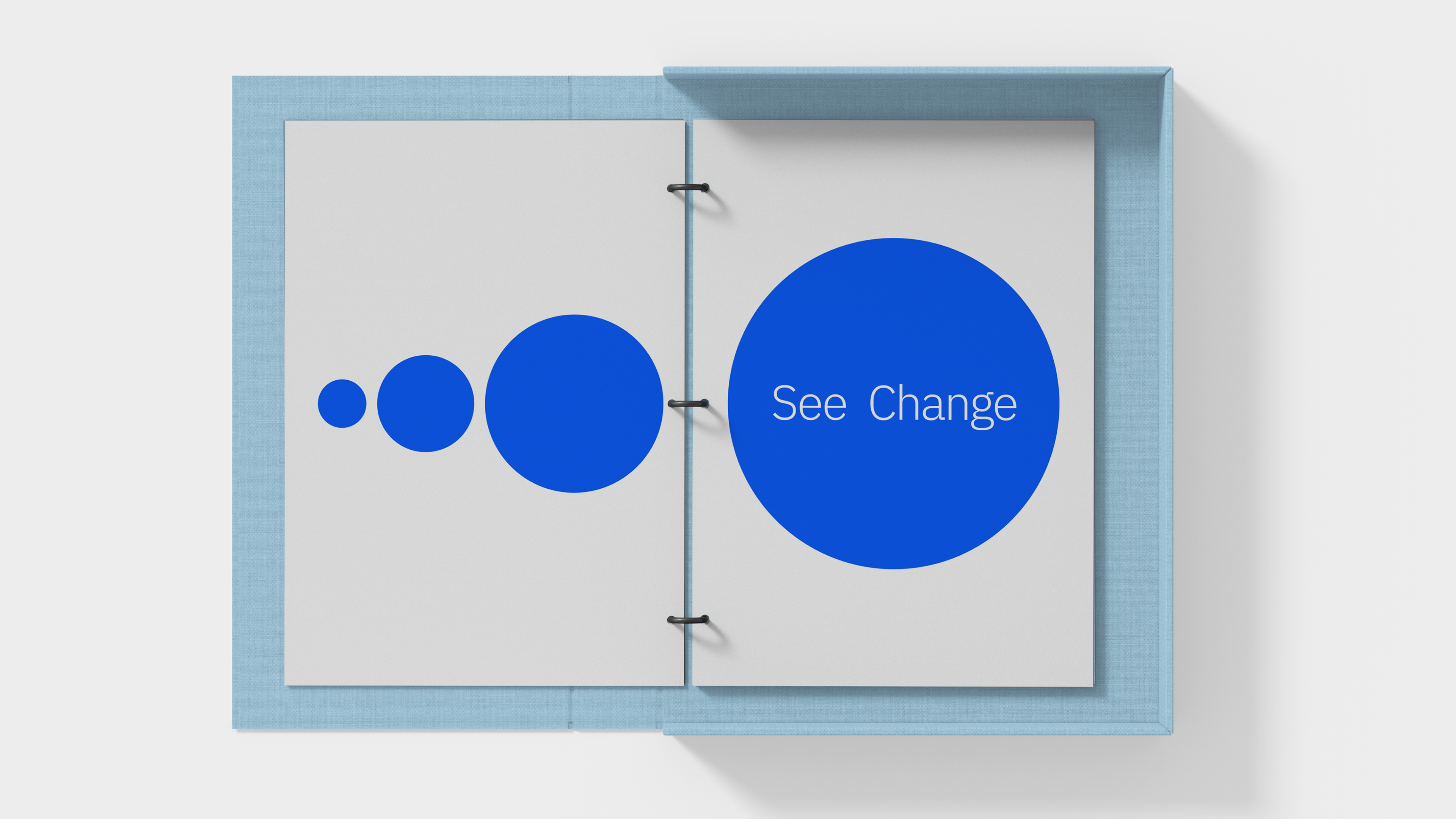 IBM Sustainability visual 11.