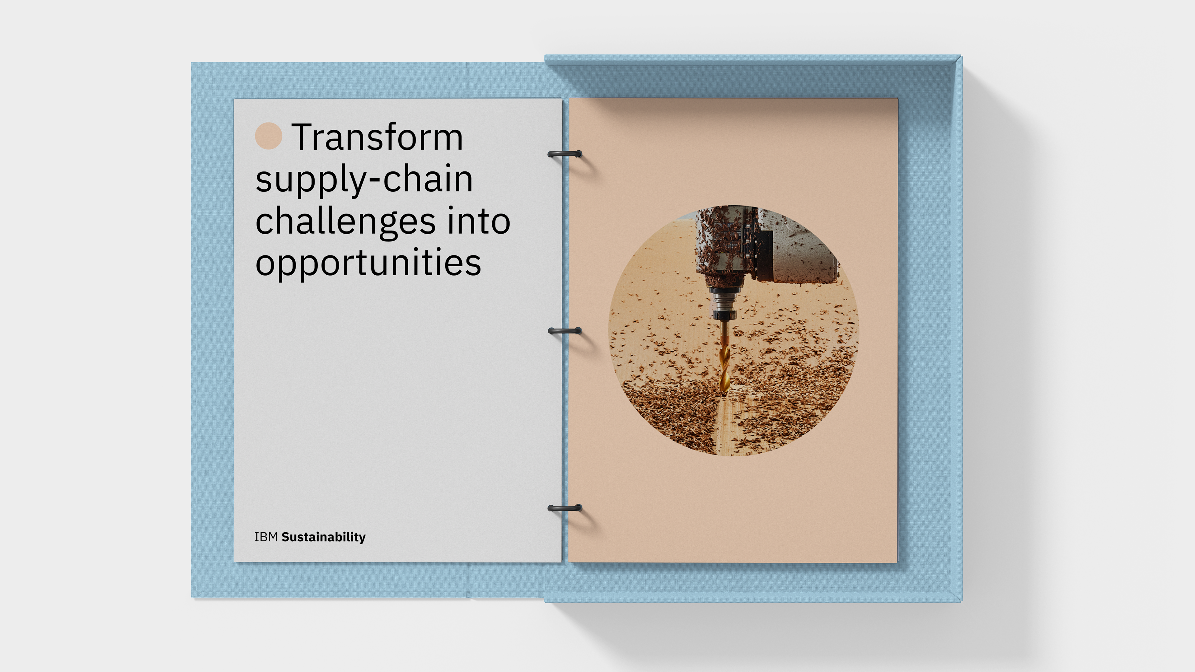 IBM Sustainability visual 12.