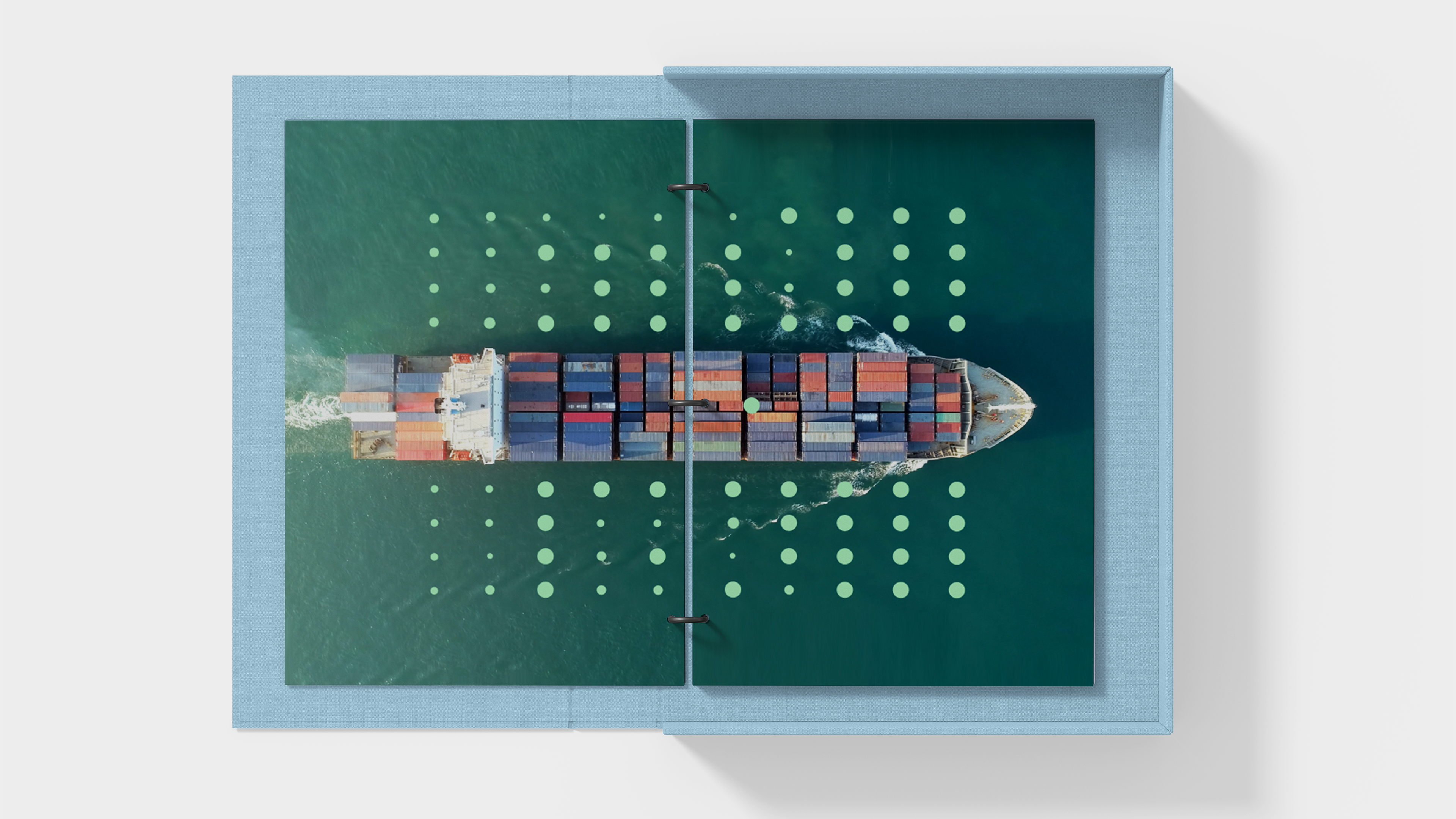 IBM Sustainability visual 13.
