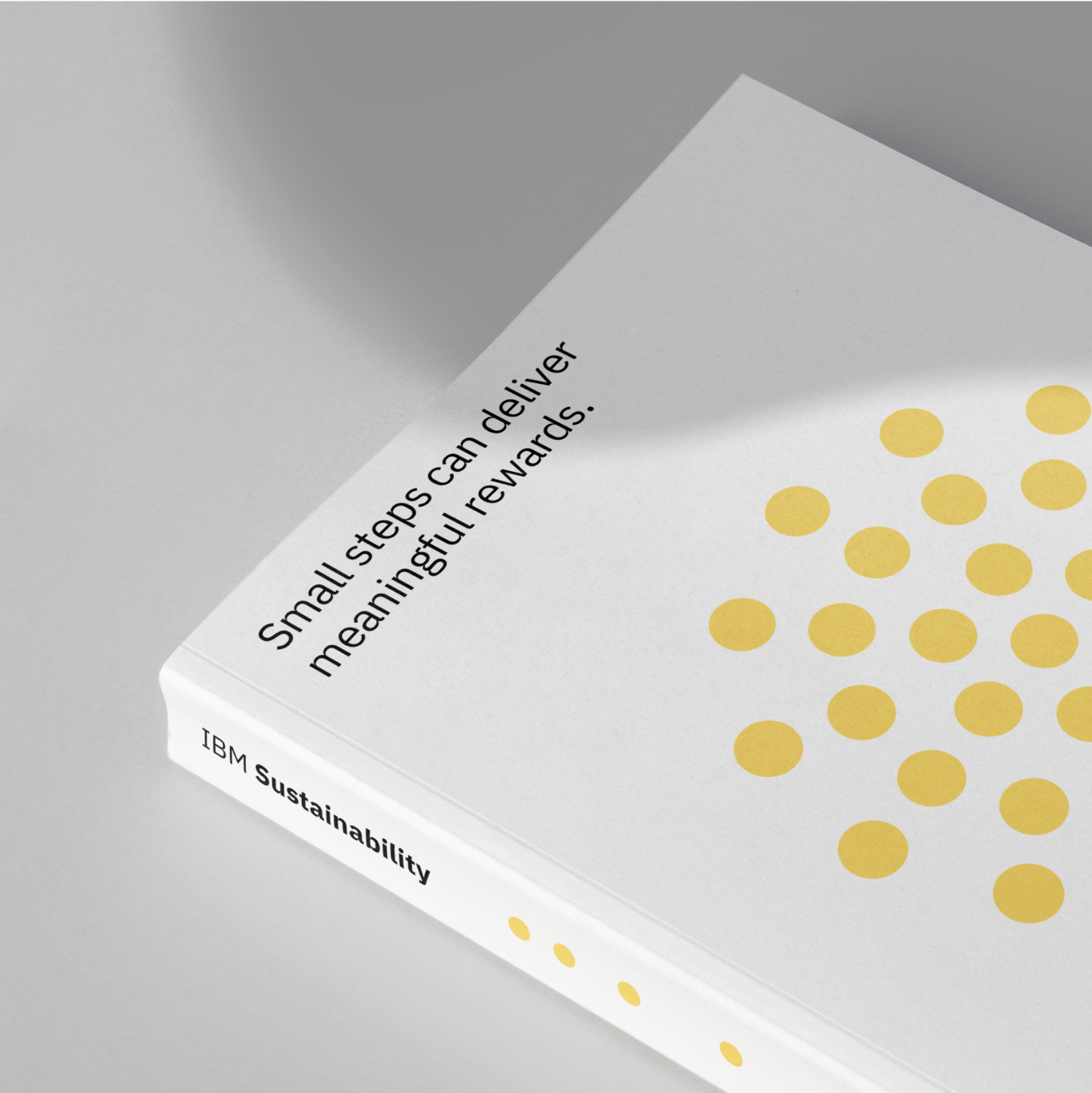IBM Sustainability visual 17.