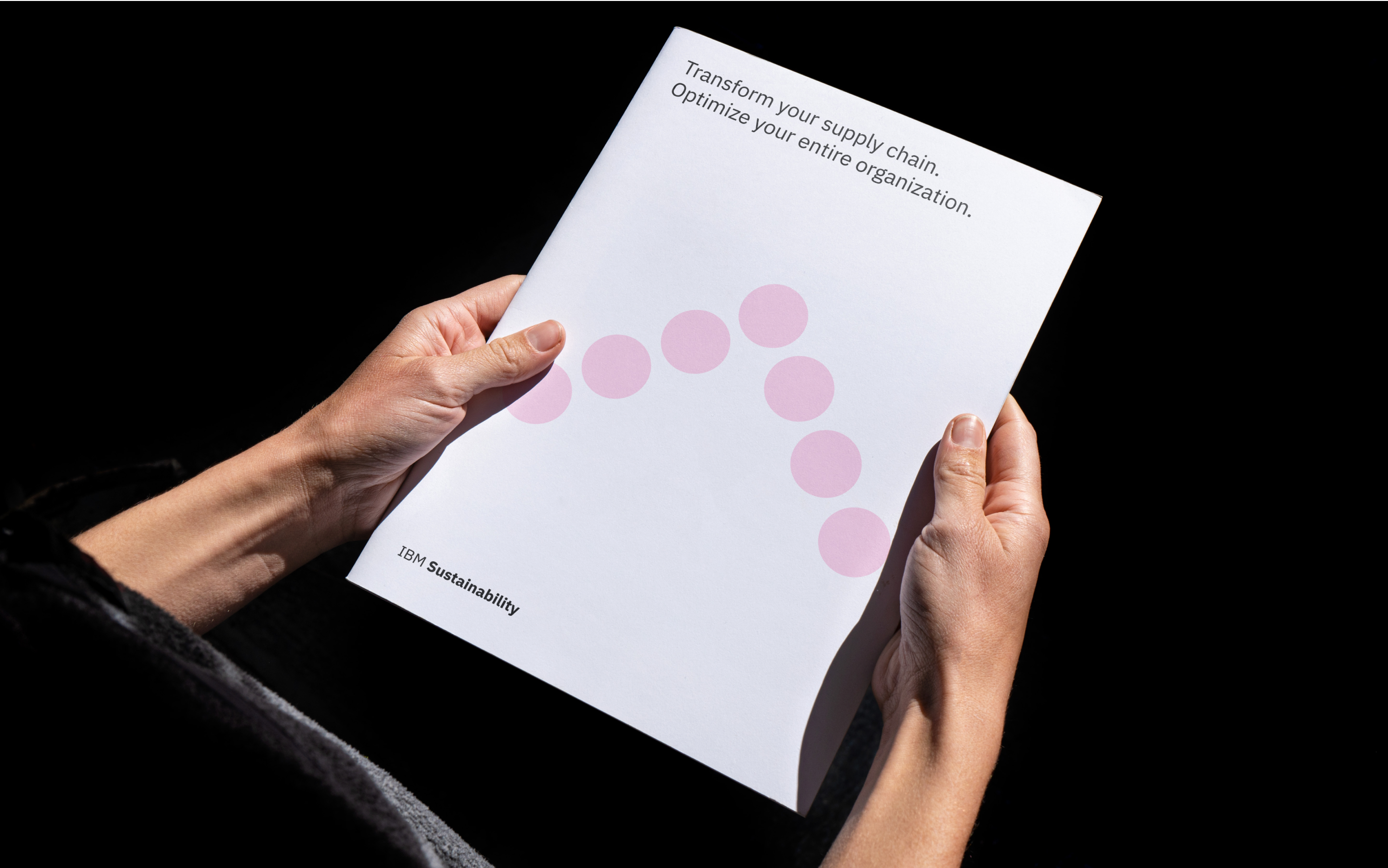 IBM Sustainability visual 19.