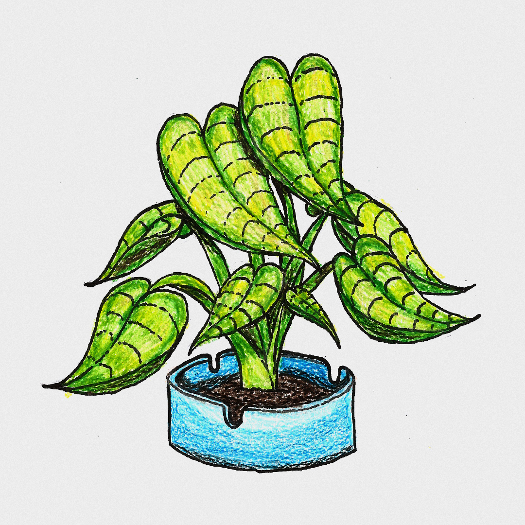 Ilustrações project image 12