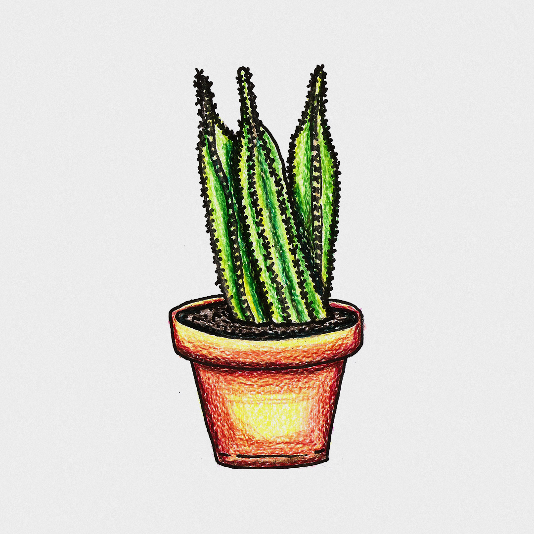 Ilustrações project image 13