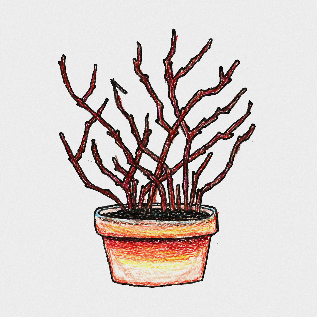 Ilustrações project image 14