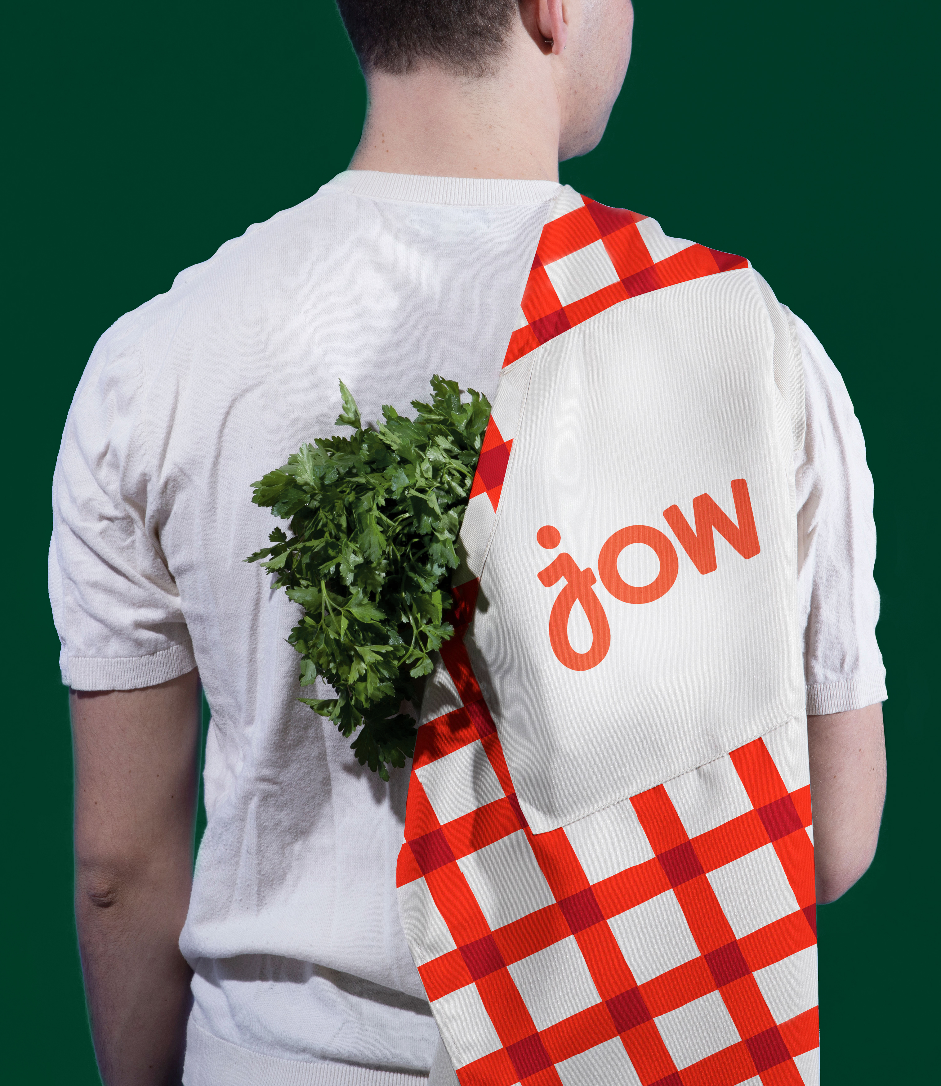 Jow visual 22.
