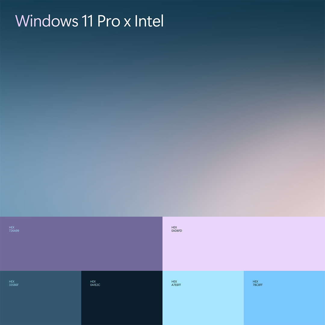 Microsoft + Intel visual 11.