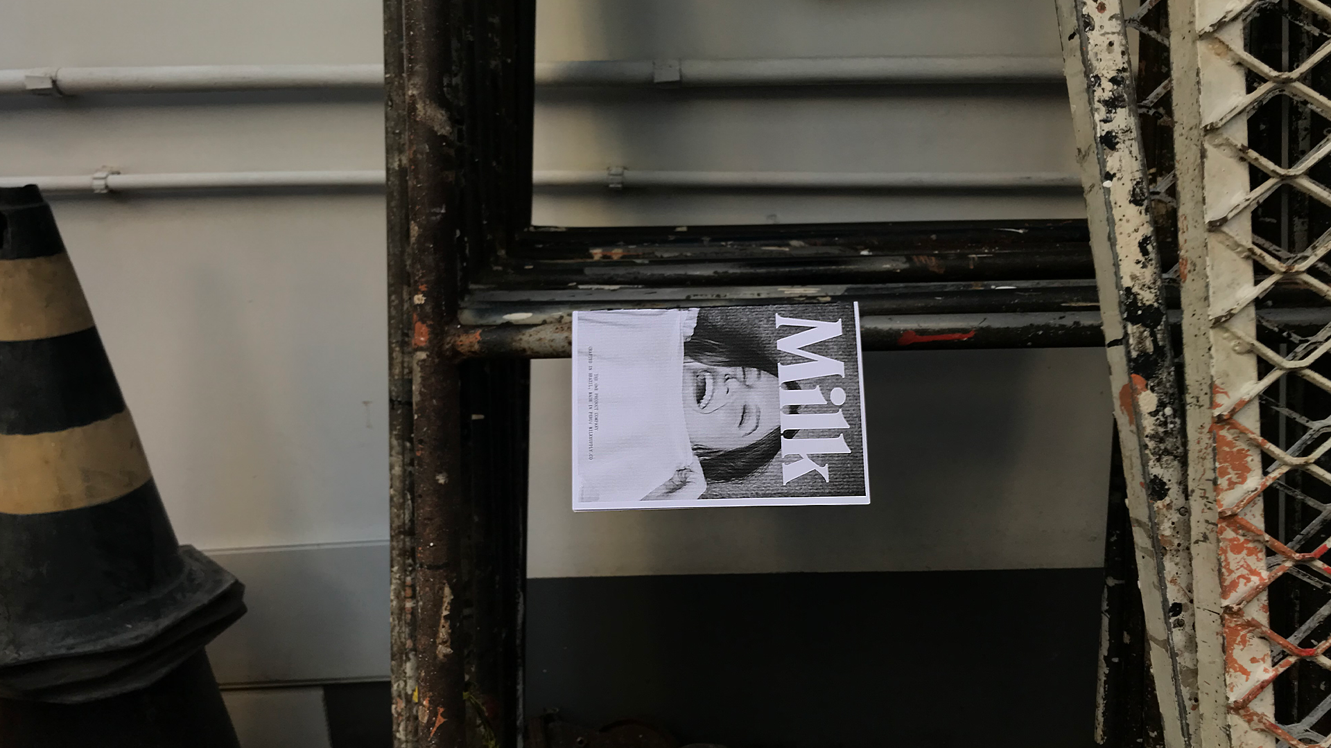 Milk Supply 18 Things Zine visual 2.