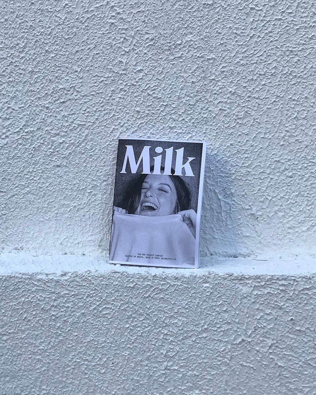 Milk Supply 18 Things Zine visual 19.