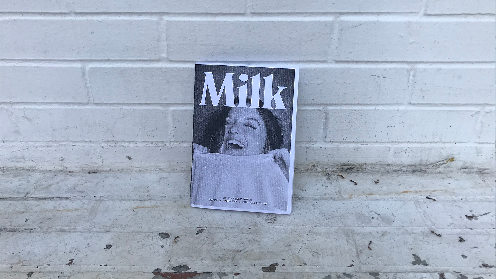 Milk Supply 18 Things Zine visual 21.