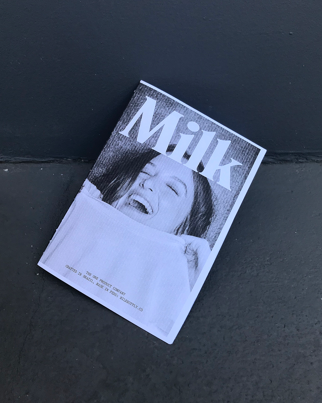 Milk Supply 18 Things Zine visual 11.