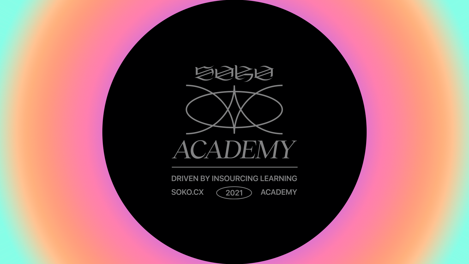 Cover image for Soko Academy.