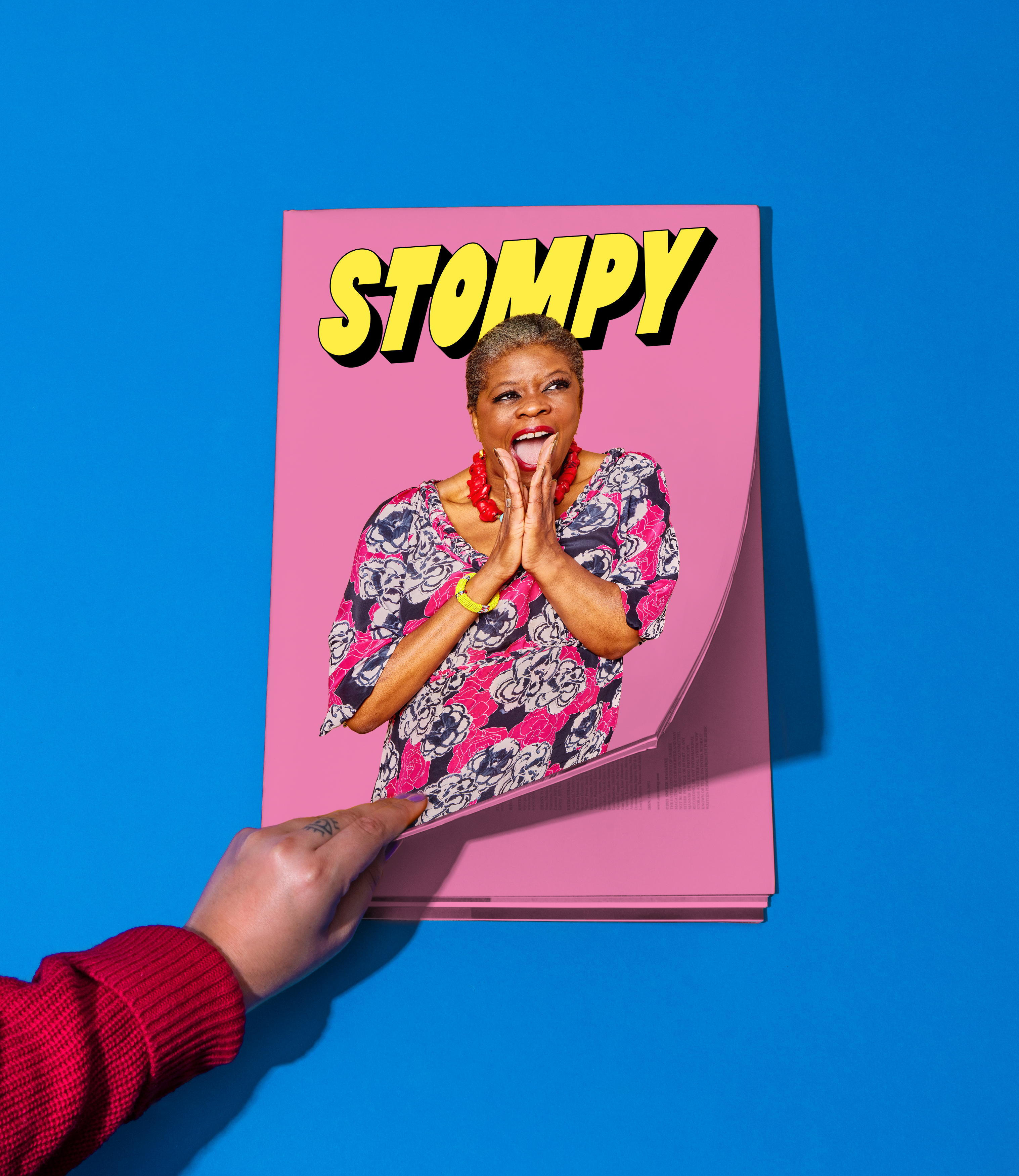 Stompy | Branding